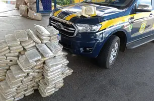 Droga apreendida (Foto: Divulgação/PRF)