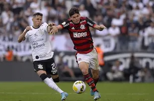 Flamengo (Foto: Marcelo Cortes / Flamengo)