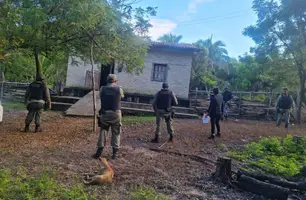 Operação Paralama (Foto: Divulgação/ PM-PI)