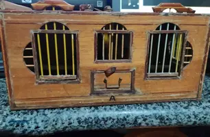 Pássaros apreendidos (Foto: Divulgação/PRF)