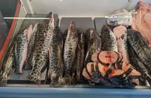 Peixes consumidos em seis estados têm contaminação por mercúrio, indica estudo (Foto: Foto: Fiocruz/UFOPA/Greenpeace/Iepé/ISA/WWF-Brasil/Divulgação)