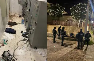 Quatro homens foram presos na ação (Foto: Divulgação/ PM-PI)