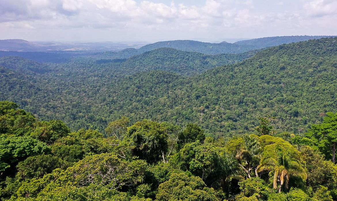 Região amazônica