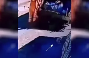 Cachorro é jogado em caminhão de lixo após ser atropelado por ele (Foto: Reprodução/ Redes Sociais)