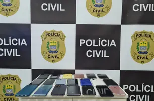 Celulares roubados recuperados pela Polícia Civil do Piauí (Foto: Divulgação)