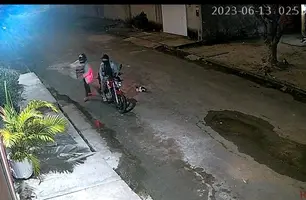 Imagens da câmera de segurança do local onde os animais foram abandonados (Foto: Reprodução)