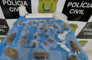 Material apreendido (Foto: Divulgação/ PC-PI)