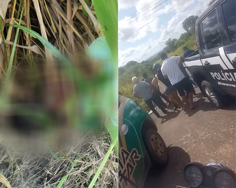 Mulher encontrada morta em área de mata