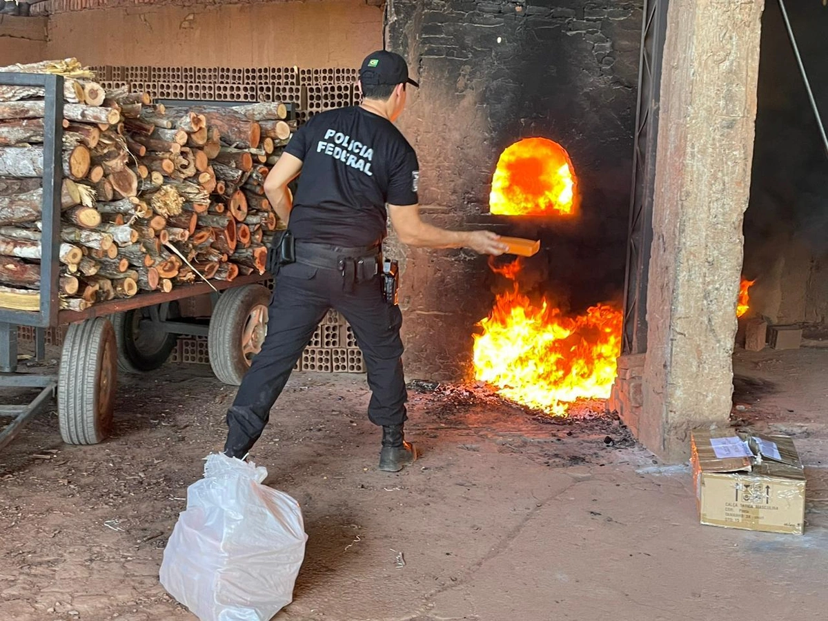 Operação de incineração de drogas realizada nesta segunda-feira