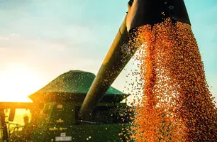 Piauí exportou US$ 181 milhões no mês de maio (Foto: Divulgação)