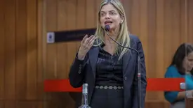 A deputada estadual Gracinha Mão Santa (Foto: Divulgação/Alepi)