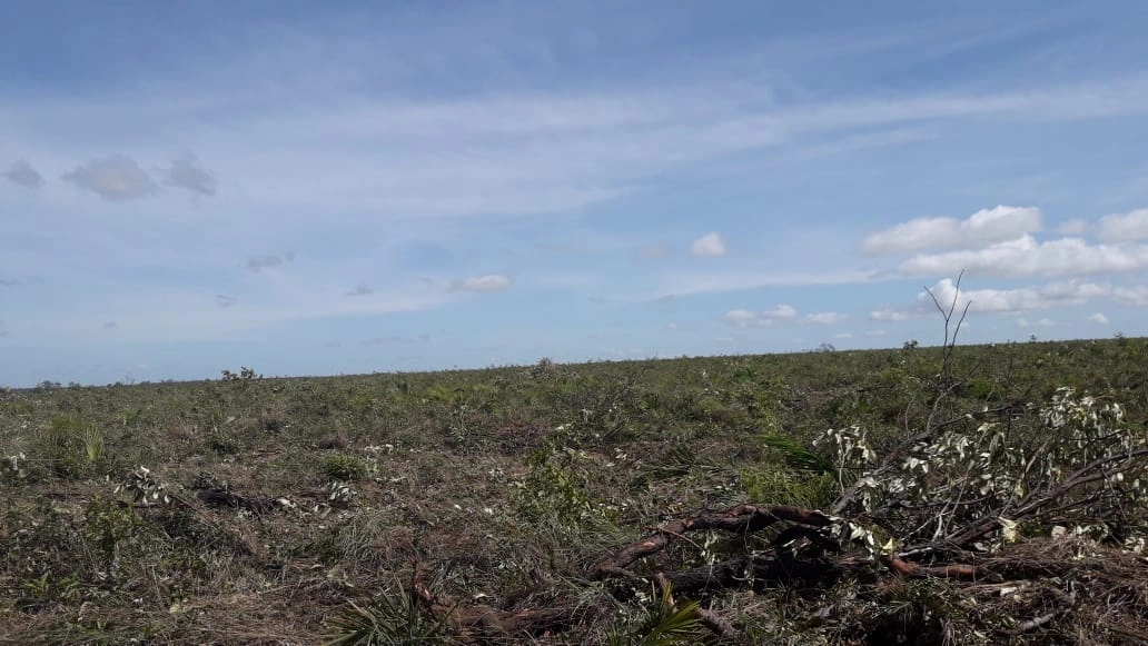 Área é alvo de disputa