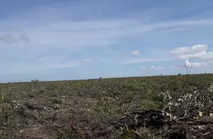 Área é alvo de disputa (Foto: Povo Akroá Gamella)