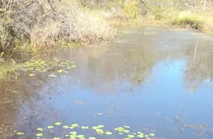 Bebê é encontrado morto em Castelo do Piauí (Foto: Divulgação/ PC-PI)