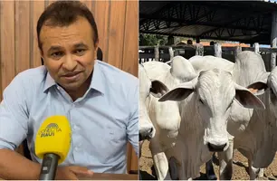 Bovinos são vacinados no Piauí (Foto: Conecta Piauí)