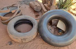 Focos de mosquitos transmissores da dengue (Foto: Divulgação/ Governo do Piauí)