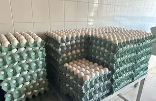 Granja União (Foto: Stefanny Sales / Conecta Piauí)