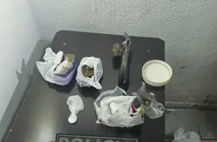 Material apreendido (Foto: Divulgação/ PC-PI)