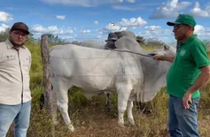 Nelore do Sambito confirma 2º Dia de Campo e Shopping com leilão digital