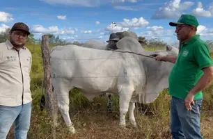 Médico veterinário e produtor, João Neto e o engenheiro agrônomo e técnico de campo da ABCZ, Davi Donizeti (Foto: Tânia Araújo / Conecta Piauí)
