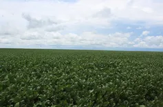 Produtores rurais recebem mais de 3,6 milhões em recursos do Piauí Fomento