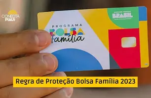 Regra de Proteção no novo Bolsa Família (Foto: Divulgação/Arte Conecta Piauí)