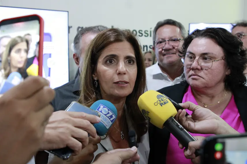 Secretária de Informação e Saúde Digital do Ministério da Saúde, Ana Estela Haddad