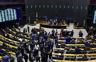 Sessão do Plenário da Câmara (Foto: Zeca Ribeiro/Câmara dos Deputados)
