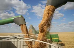 Soja representa 77% dos produtos vendidos pelo Piauí; China lidera!