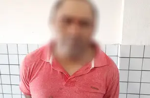 Suspeito de estupro preso (Foto: Divulgação/ PM-PI)