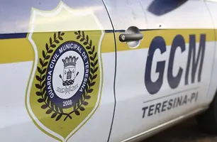 Viatura GCM (Foto: Reprodução)