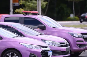 Viaturas lilás (Foto: Divulgação/ PM-PI)