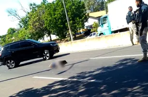 Acidente aconteceu na BR-316 (Foto: Reprodução)