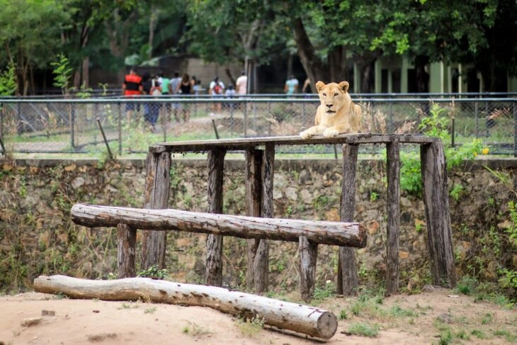 Bioparque Zoobotânico