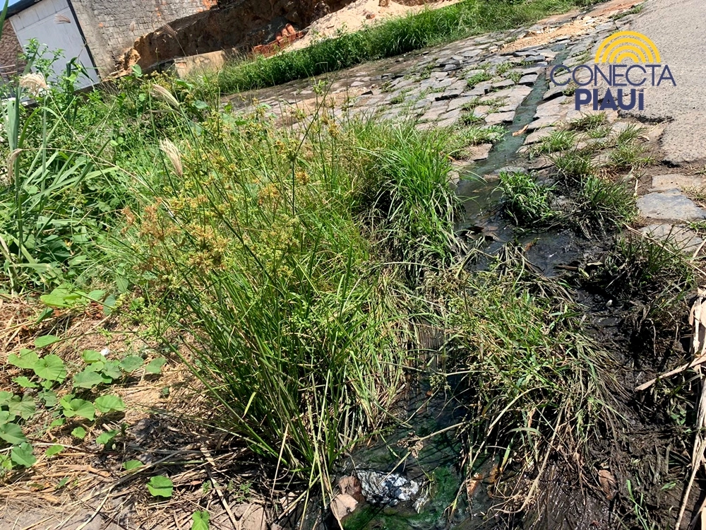 Buracos no bairro Lourival Parente