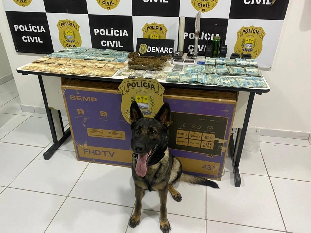 Cadela do Núcleo de Operações com Cães da Polícia Civil.