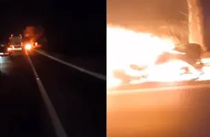 Carro pega fogo após colisão contra animal (Foto: Reprodução/ Redes Sociais)