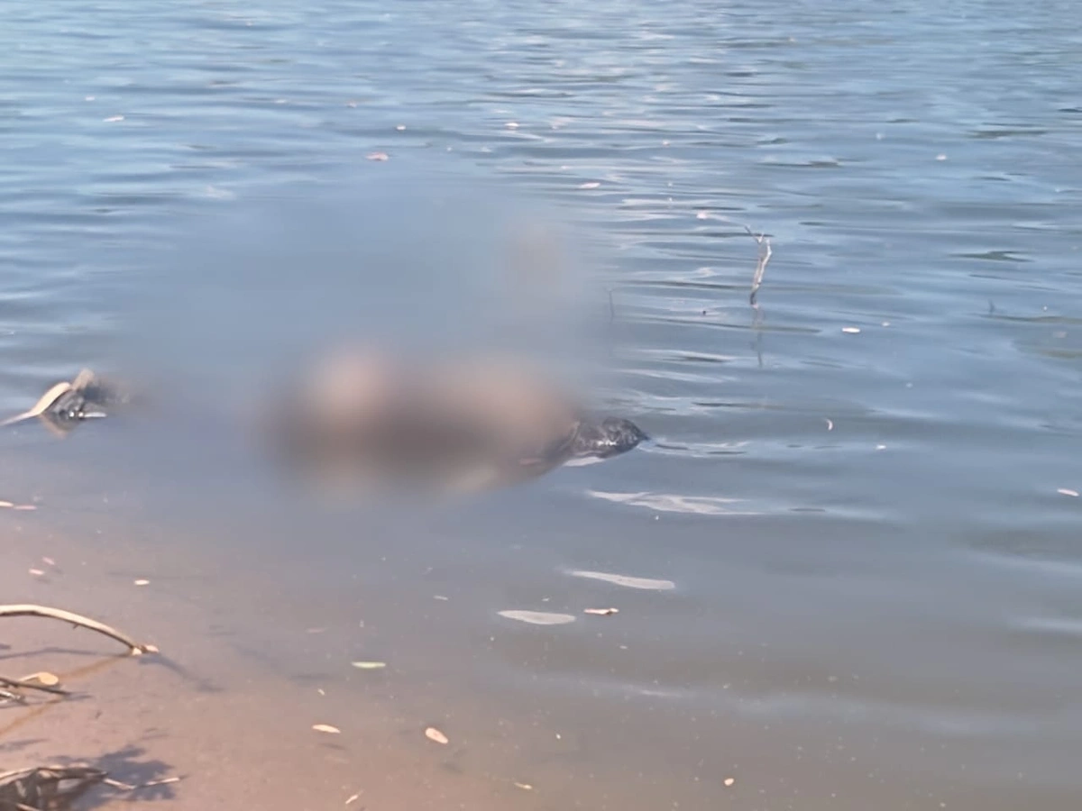 Corpo de homem é encontrado por pescador às margens do rio Poti, em Teresina