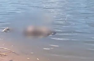 Corpo de homem é encontrado por pescador às margens do rio Poti, em Teresina (Foto: Reprodução)