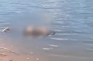 Corpo de homem é encontrado por pescador às margens do rio Poti, em Teresina (Foto: Reprodução)