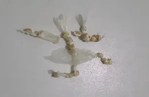 Drogas encontradas com os menores em operação da Polícia Militar (Foto: Divulgação)