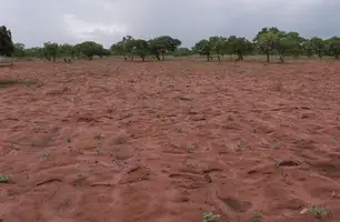 Estiagem (Foto: Secretaria de Agricultura municipal)