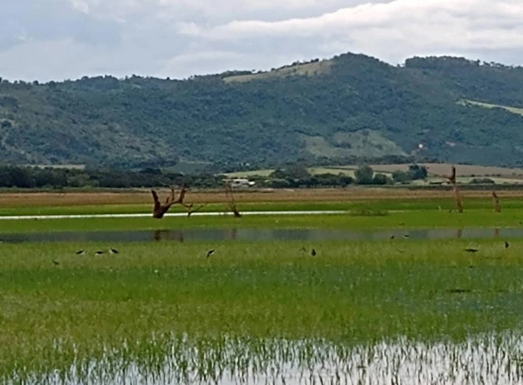 Fazenda no Piauí