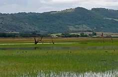 MP-PI pede cancelamento de registro de imóveis no Piauí por irregularidades