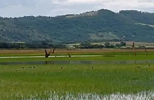 Fazenda no Piauí (Foto: Reprodução/Google Maps)