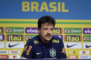 Fernando Diniz (Foto: Thais Magalhães/CBF)