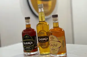 Fórum da Cajuína do Piauí (Foto: Tânia Araújo / Conecta Piauí)