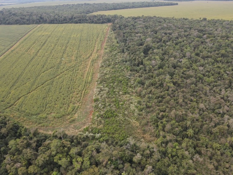 Ibama multa fazendeiros em R$ 600 mil por desmatamento