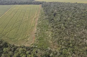 Ibama multa fazendeiros em R$ 600 mil por desmatamento (Foto: Ibama)