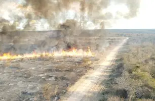 Incêndio em Canto do Buriti (Foto: Divulgação/Corpo de Bombeiros)